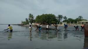 Paesaggio dalla piroga: Pescatori trascinano a riva le reti 